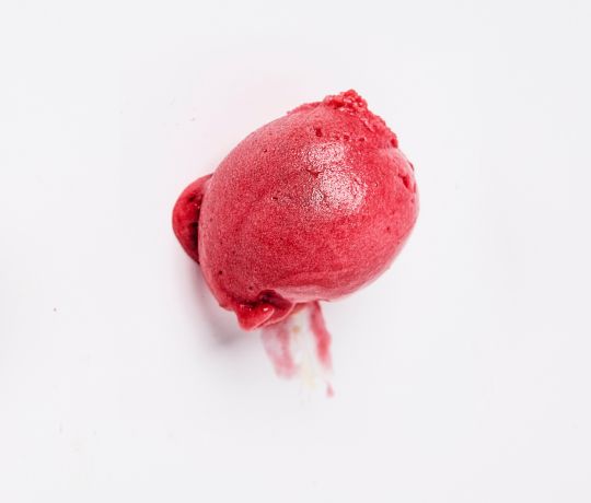 SNOW GELATO SNOW GELATO